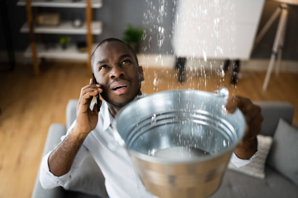 Best Flood damage cleanup  in Bon Aqua Junction, TN