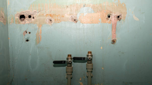 Best Commercial water damage restoration  in Bon Aqua Junction, TN