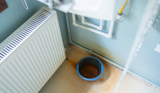 Best Water damage contractors near me  in Bon Aqua Junction, TN